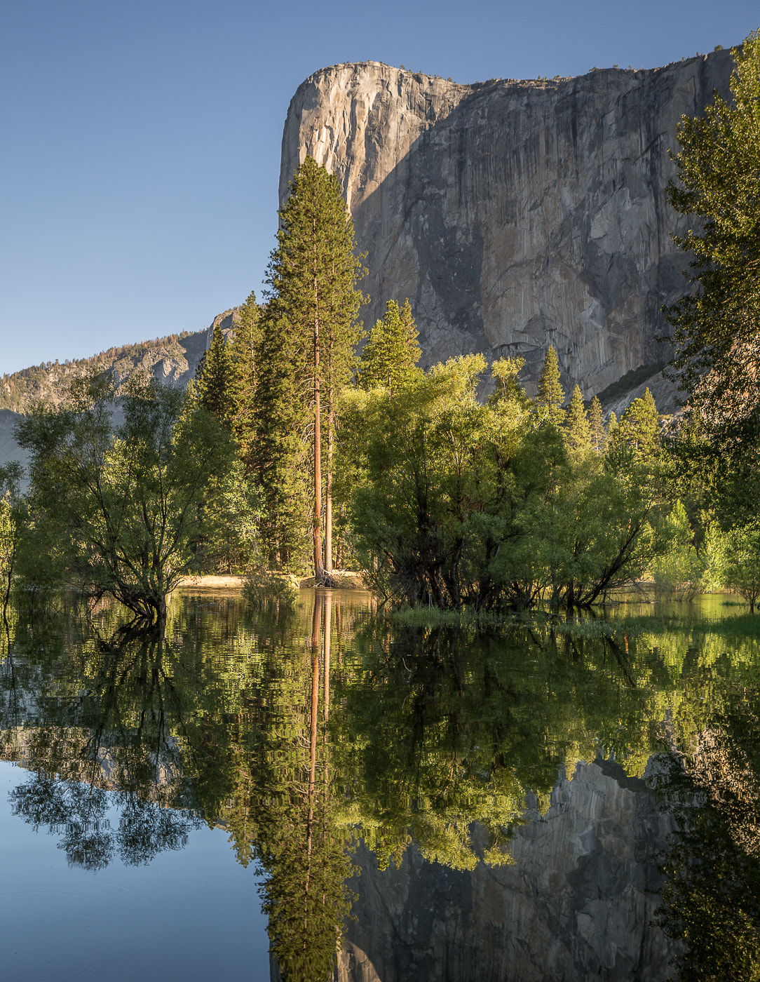 Canon TS-E 24.0mm f/3.5 L II sample photo. Yosemite reflection photography
