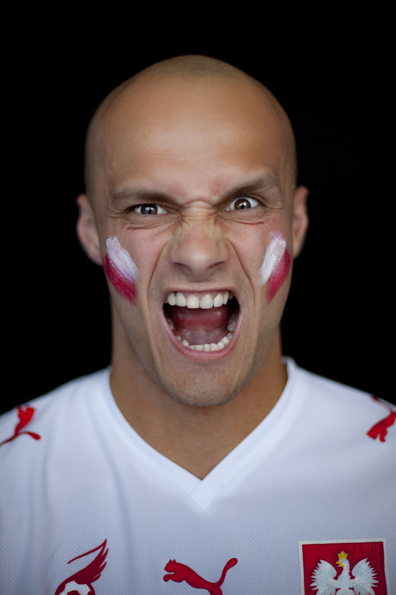 Canon EF 50mm F1.4 USM sample photo. Polish fan (euro 2016) photography