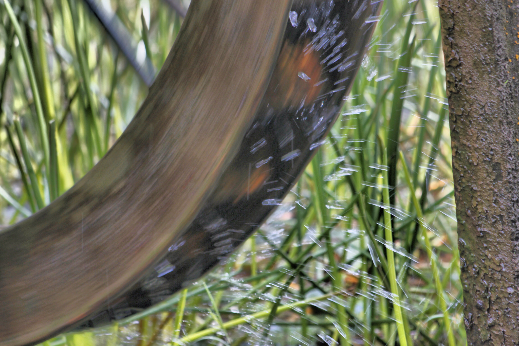 Canon EF 75-300mm f/4-5.6 USM sample photo