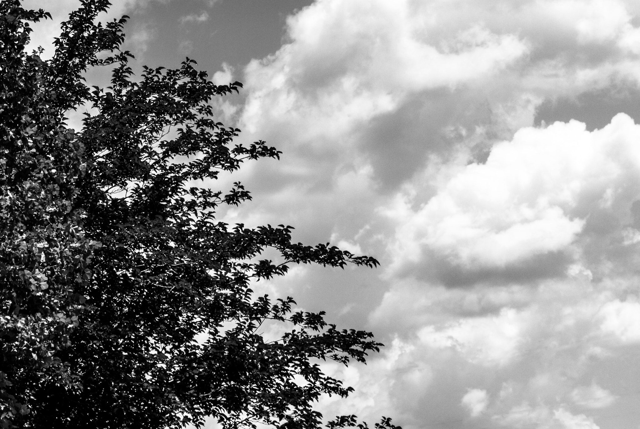 Canon EOS 650D (EOS Rebel T4i / EOS Kiss X6i) + Tamron AF 28-300mm F3.5-6.3 XR Di VC LD Aspherical (IF) Macro sample photo. Clouds #6 photography