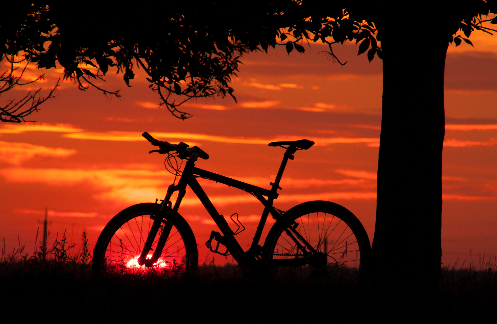 Canon EOS 40D + Canon EF 28-200mm F3.5-5.6 USM sample photo. Cycling in the evening it's very beautiful! photography