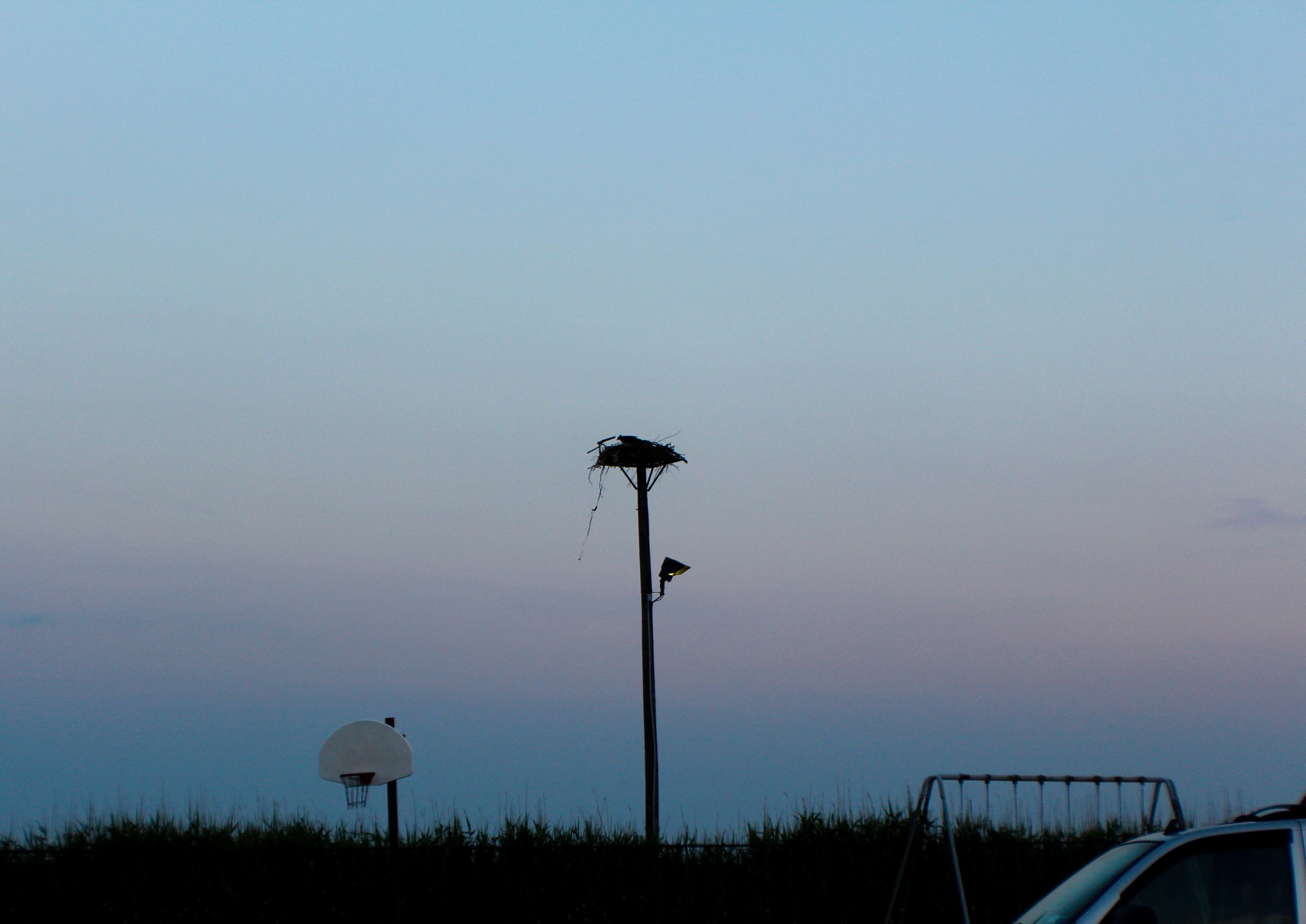 Canon EF-S 18-55mm F3.5-5.6 IS II sample photo. Nesting photography