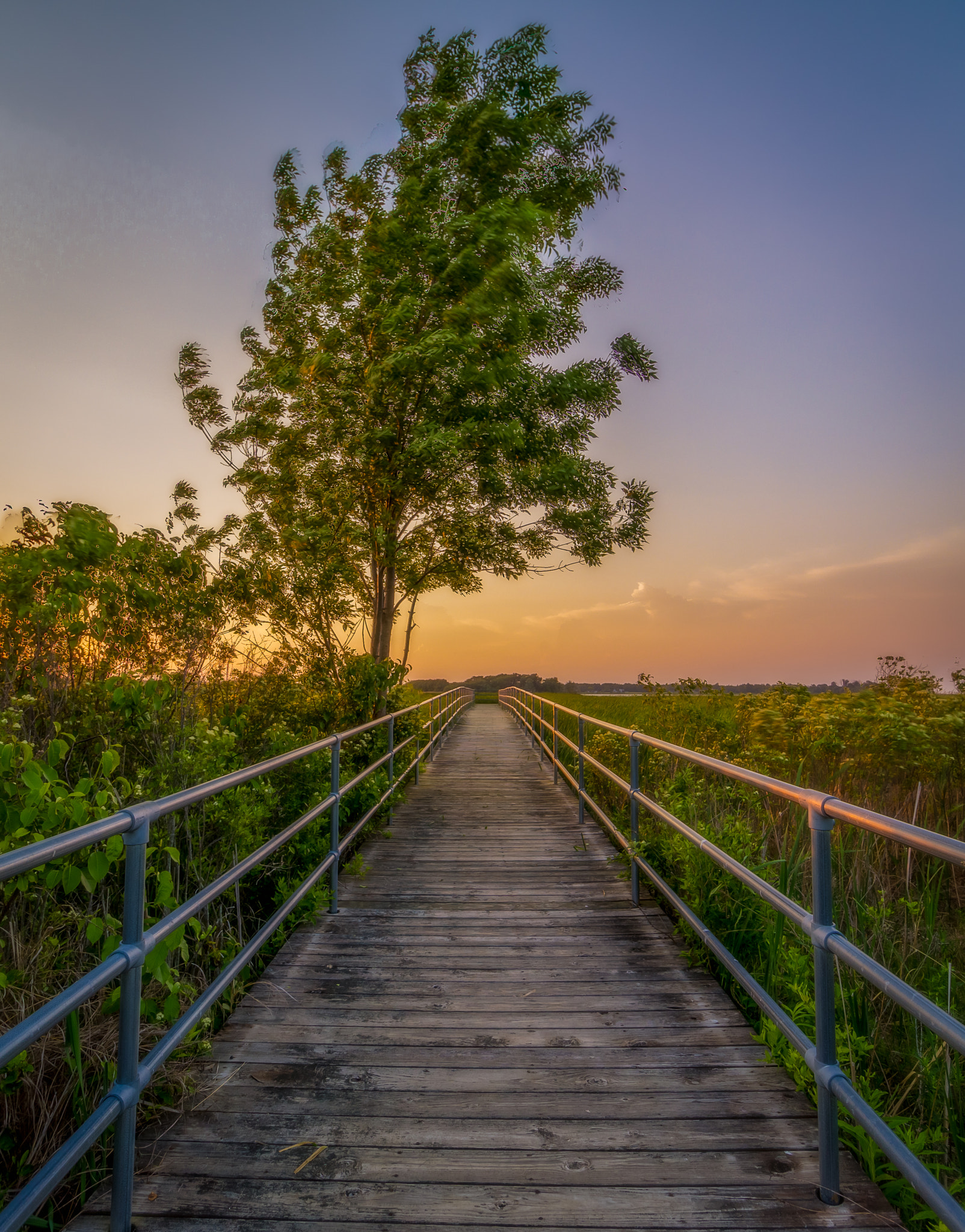 Canon EF-S 10-18mm F4.5–5.6 IS STM sample photo. Hdr edit photography