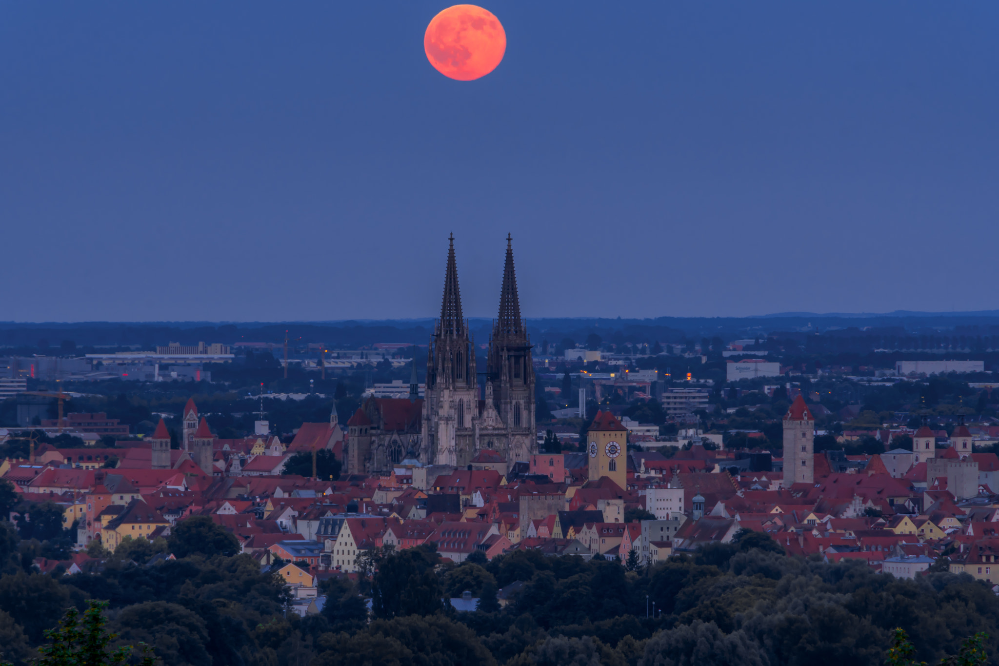 Sigma 18-250mm F3.5-6.3 DC OS HSM sample photo. Strawberry moon forever photography