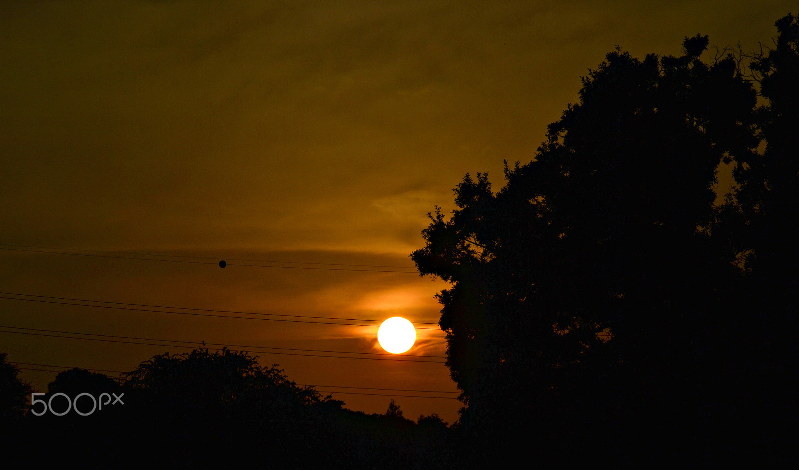 Nikon D3100 sample photo. The golden hour photography