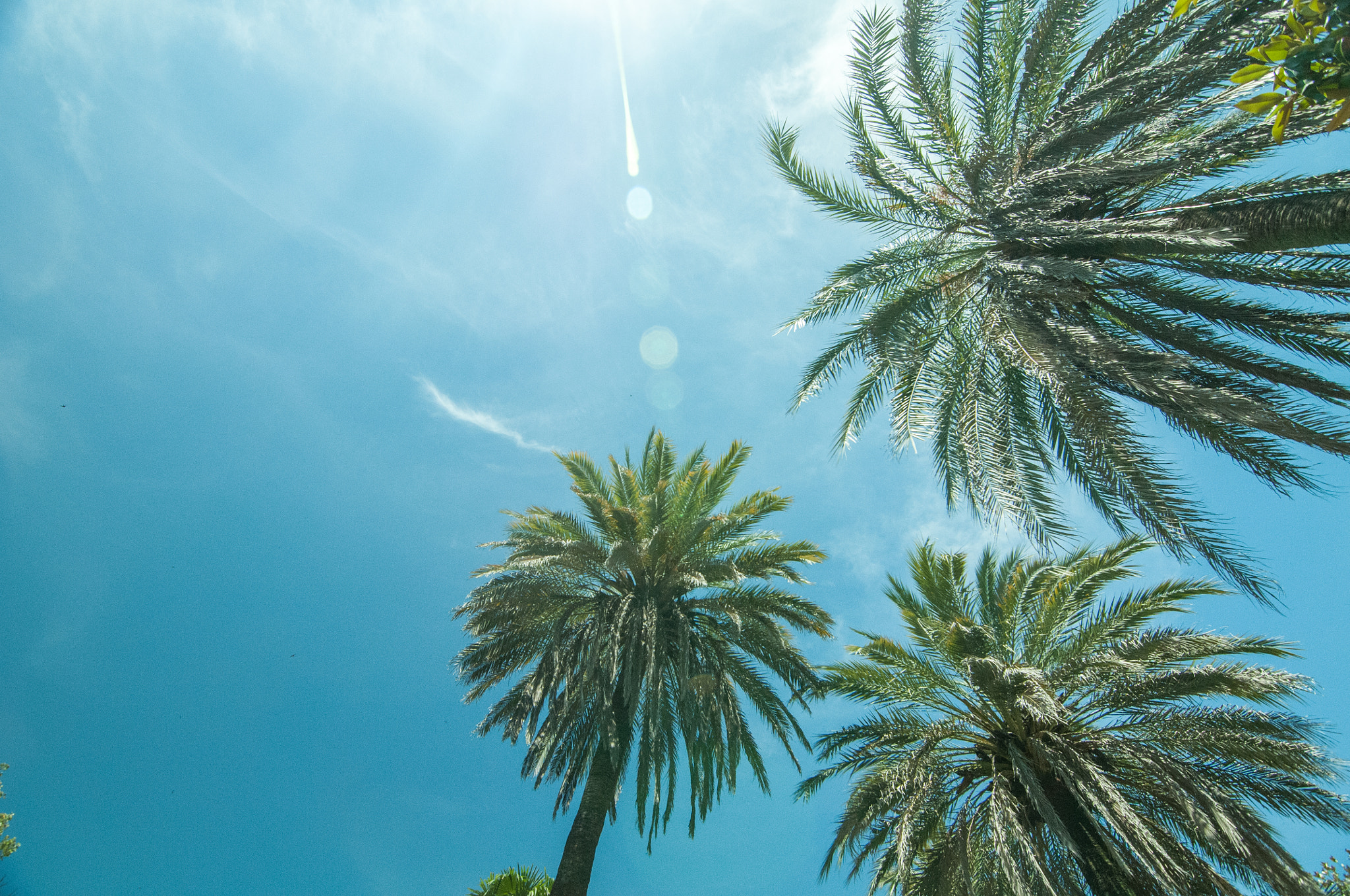 Nikon D300S sample photo. Summer is here photography