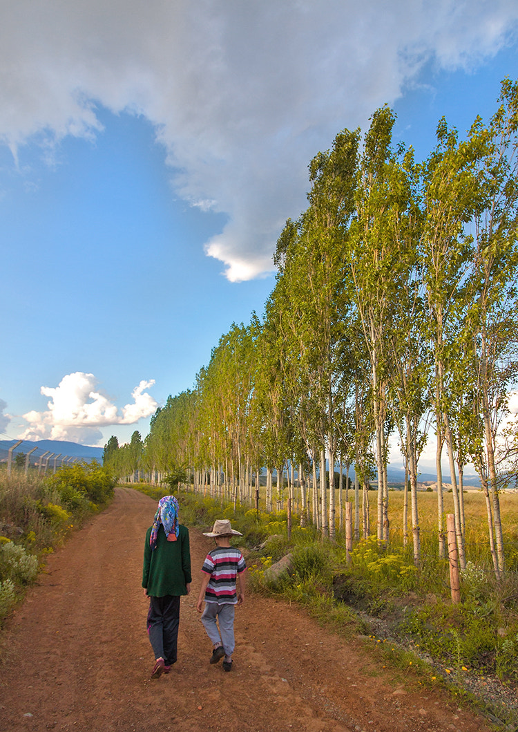 Canon EF-S 10-18mm F4.5–5.6 IS STM sample photo. Kavaklı yol photography