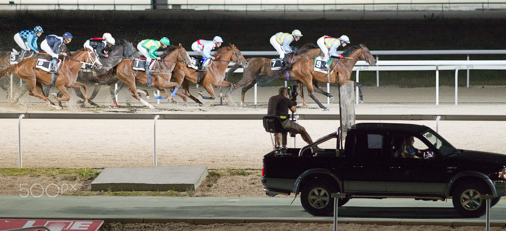 Canon EF 200mm F2.8L II USM sample photo. Corre, corre que te pillo photography