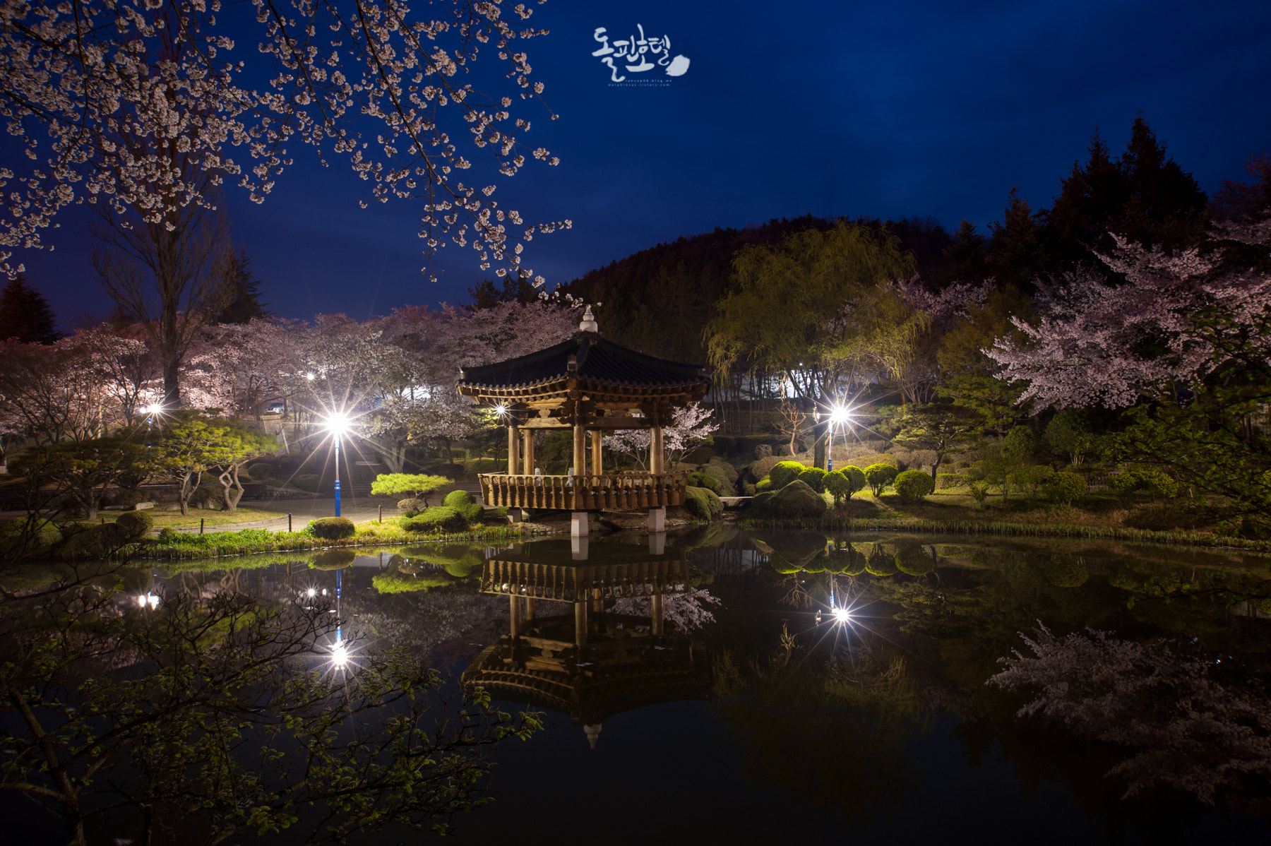 AF Zoom-Nikkor 24-120mm f/3.5-5.6D IF sample photo. Dol_0203.jpg photography