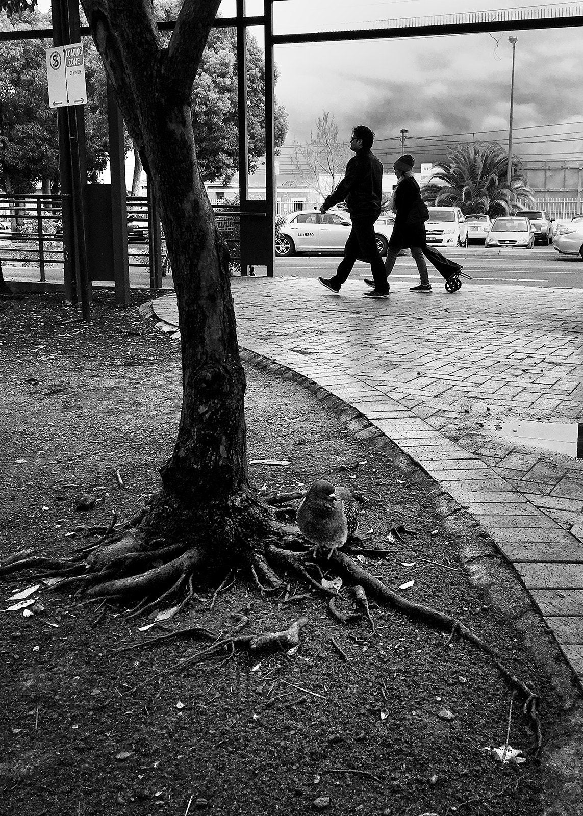 Apple iPhone8,1 sample photo. Street photography