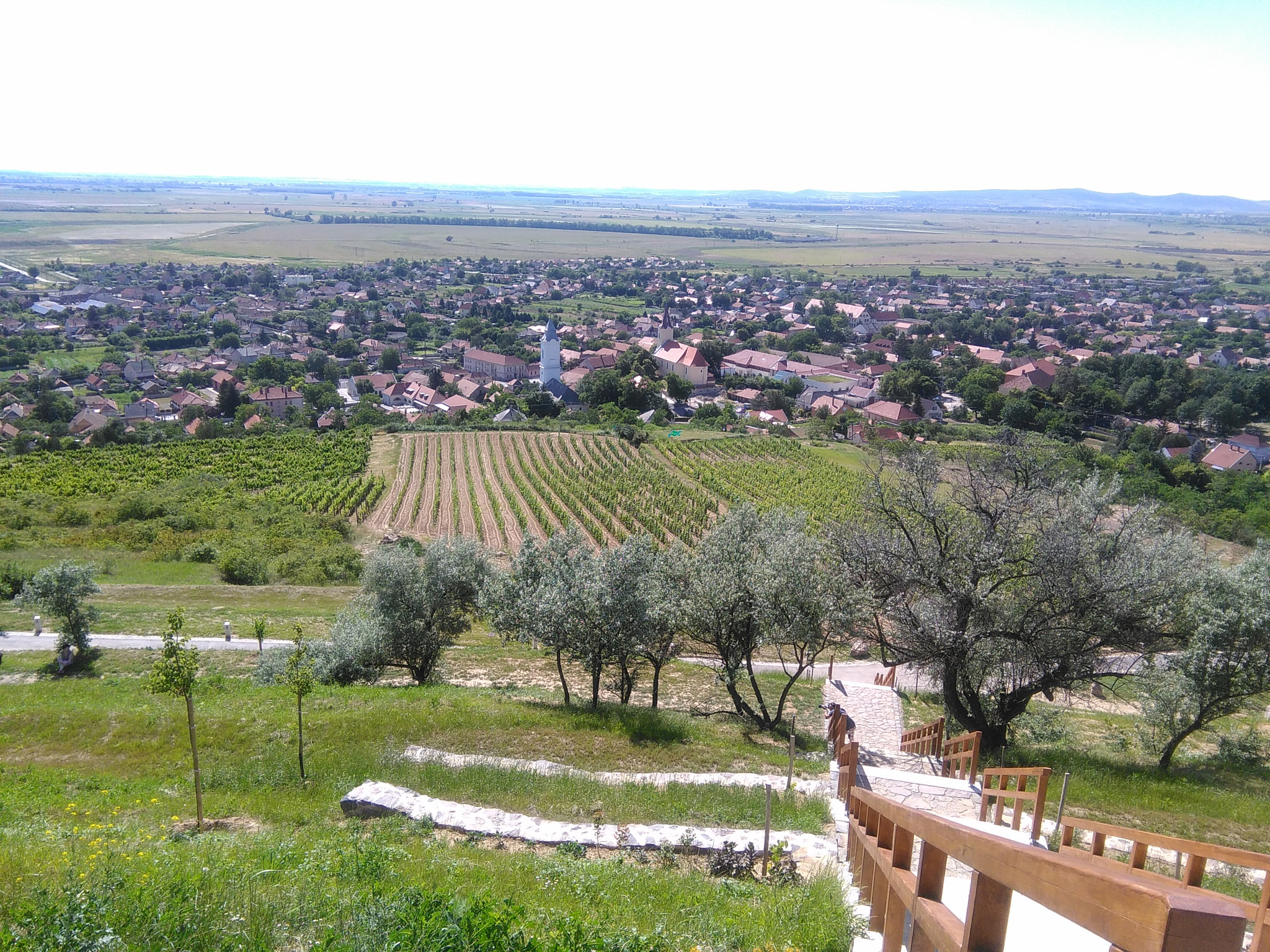 HUAWEI G620S-L01 sample photo. Beautiful view photography