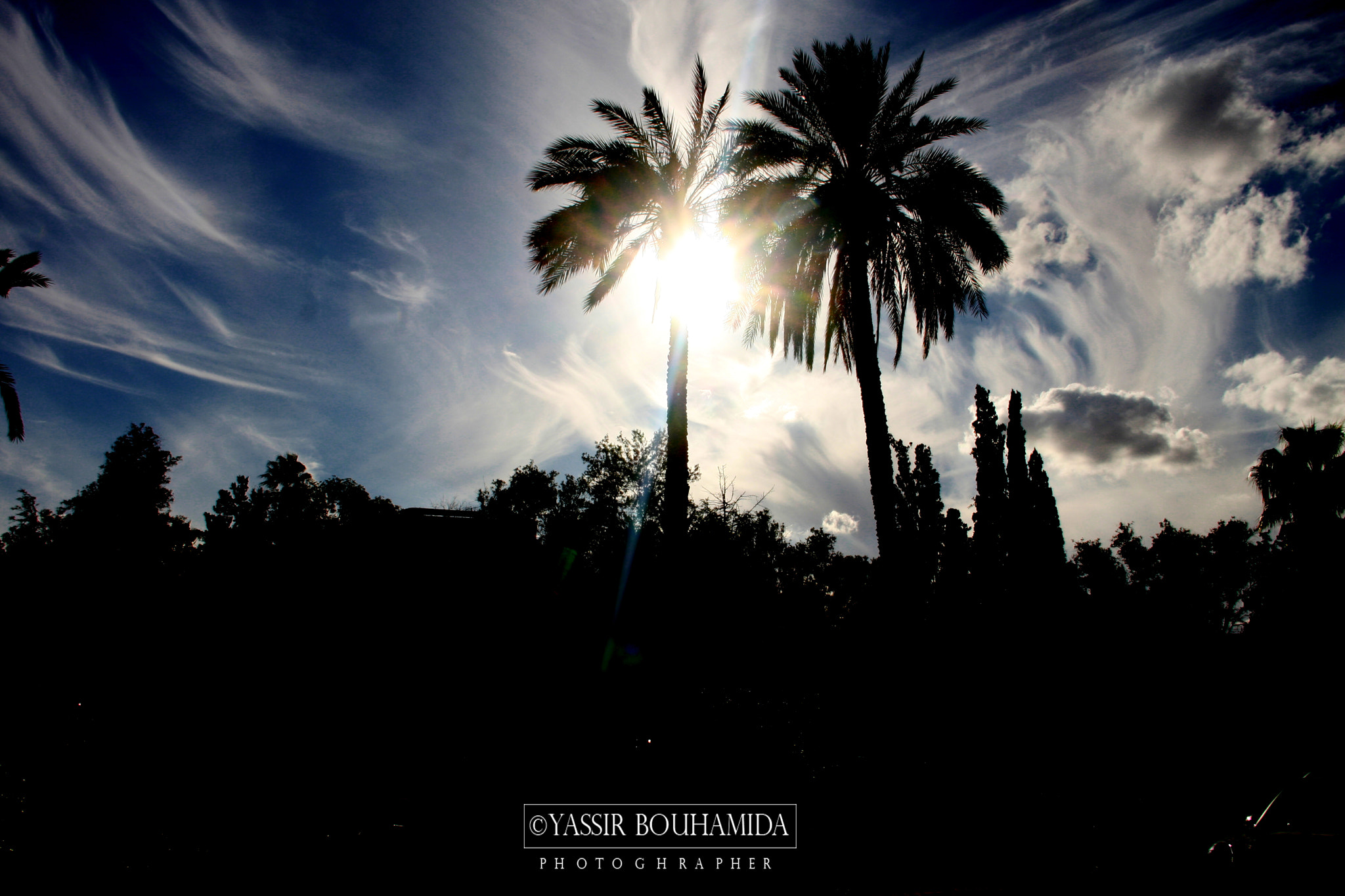 Canon EOS 40D sample photo