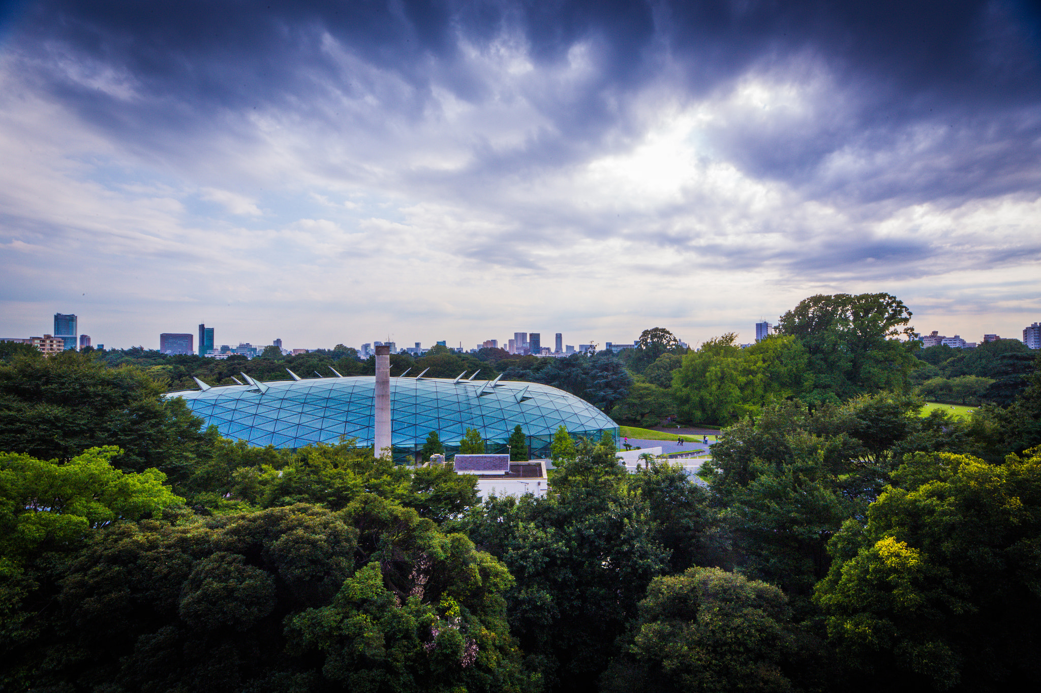 Canon EOS 6D + Sigma 10-20mm F4-5.6 EX DC HSM sample photo. Shinjuku gyoen photography