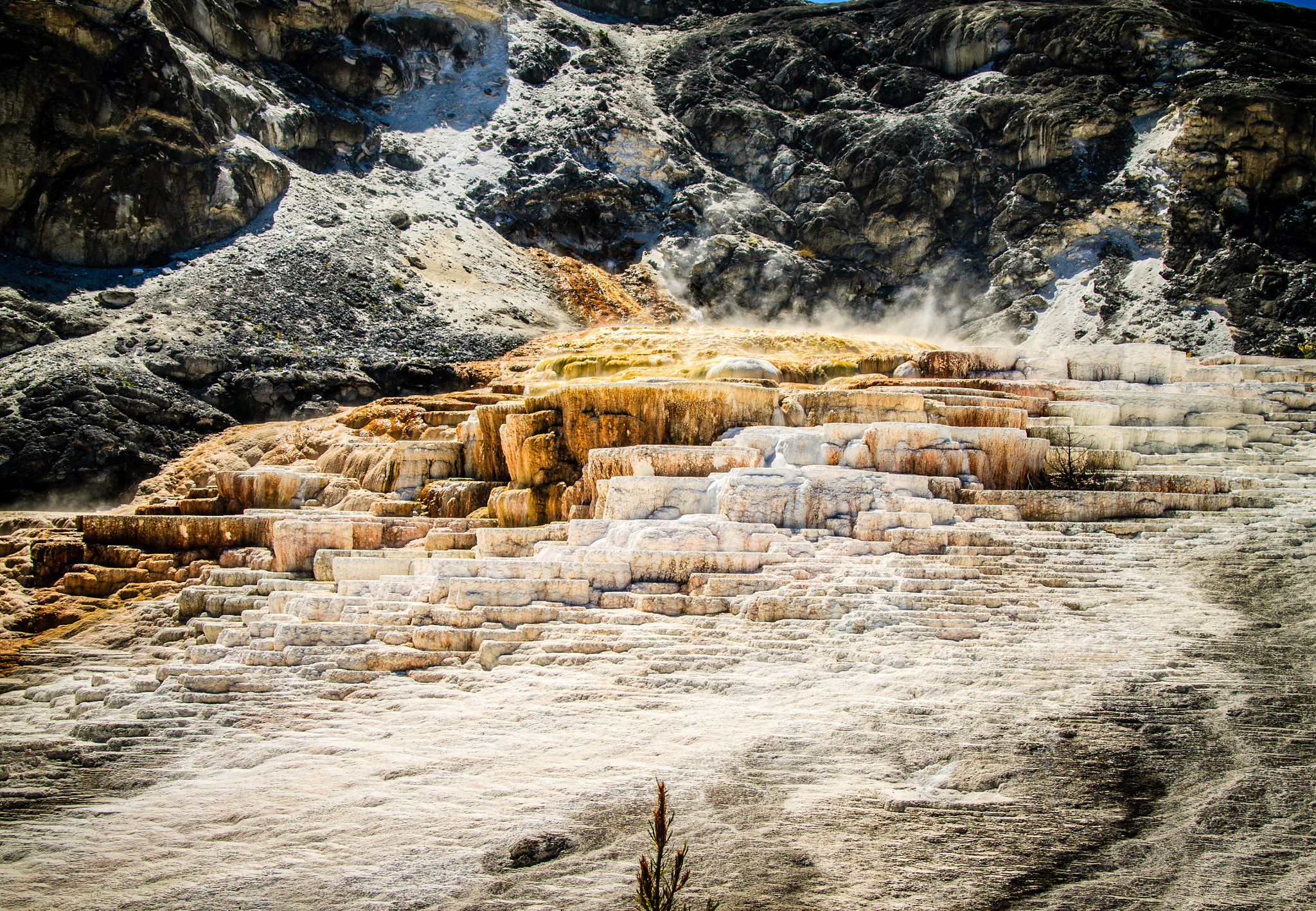 Canon EF-S 17-85mm F4-5.6 IS USM sample photo. Another post-apocalyptic view at the yellowstone photography