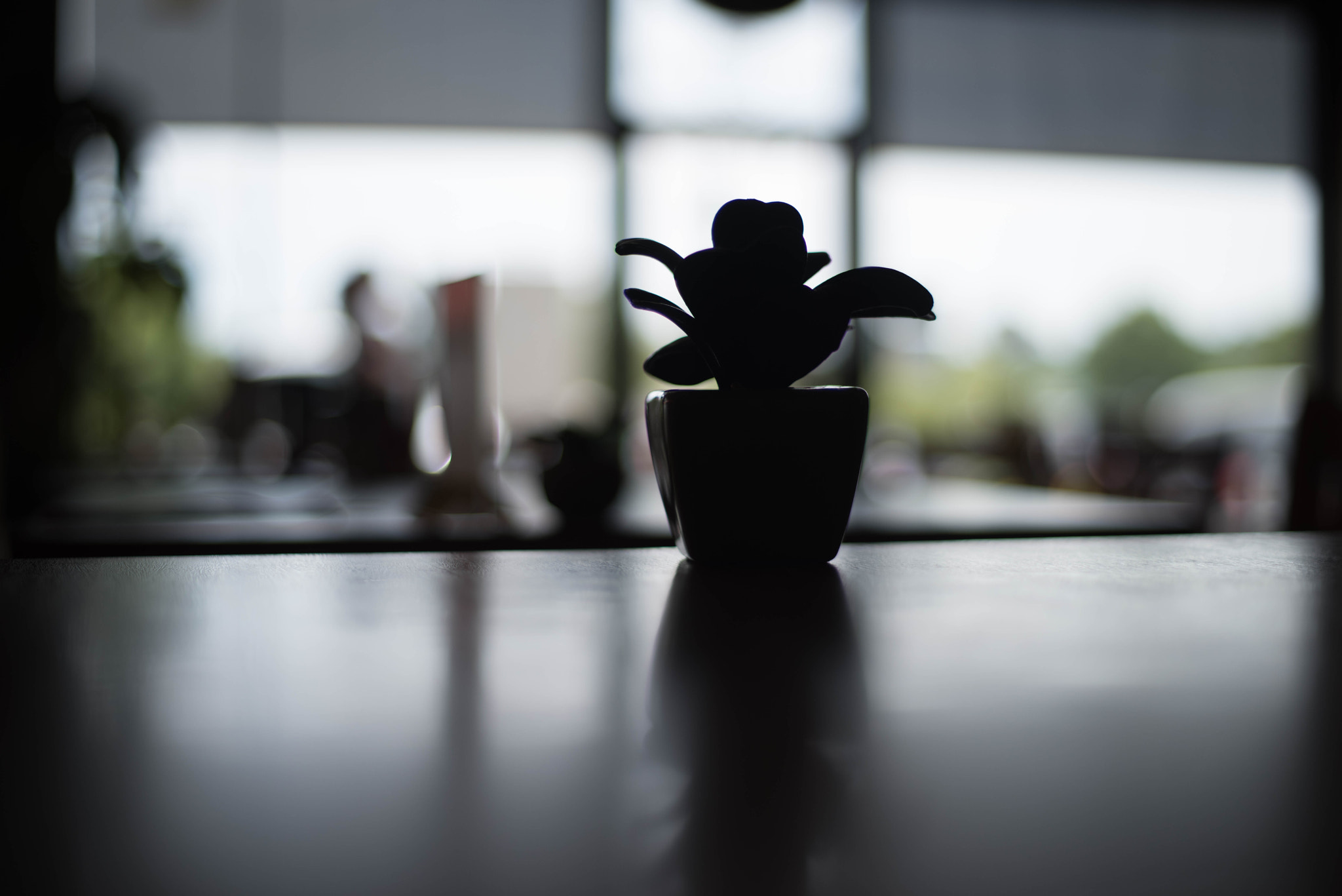 smc PENTAX-F 50mm F1.7 sample photo. Pentax k-1 photography