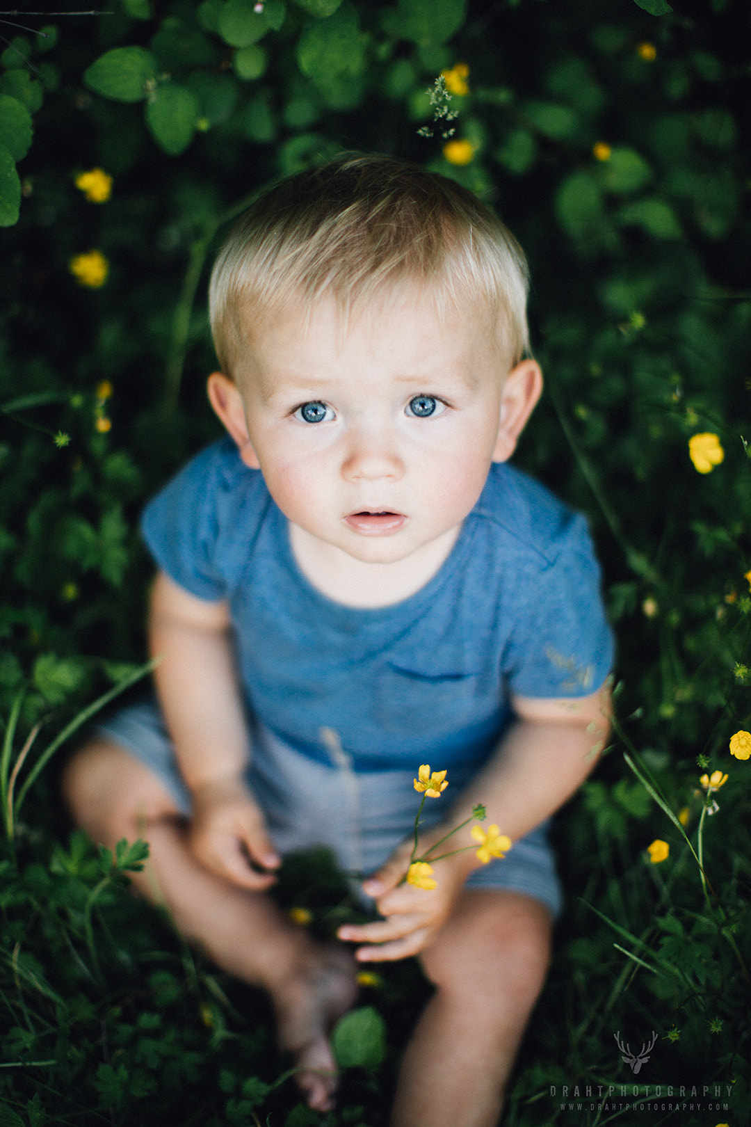 Canon EOS 5DS + Canon EF 50mm F1.2L USM sample photo. The flowers photography