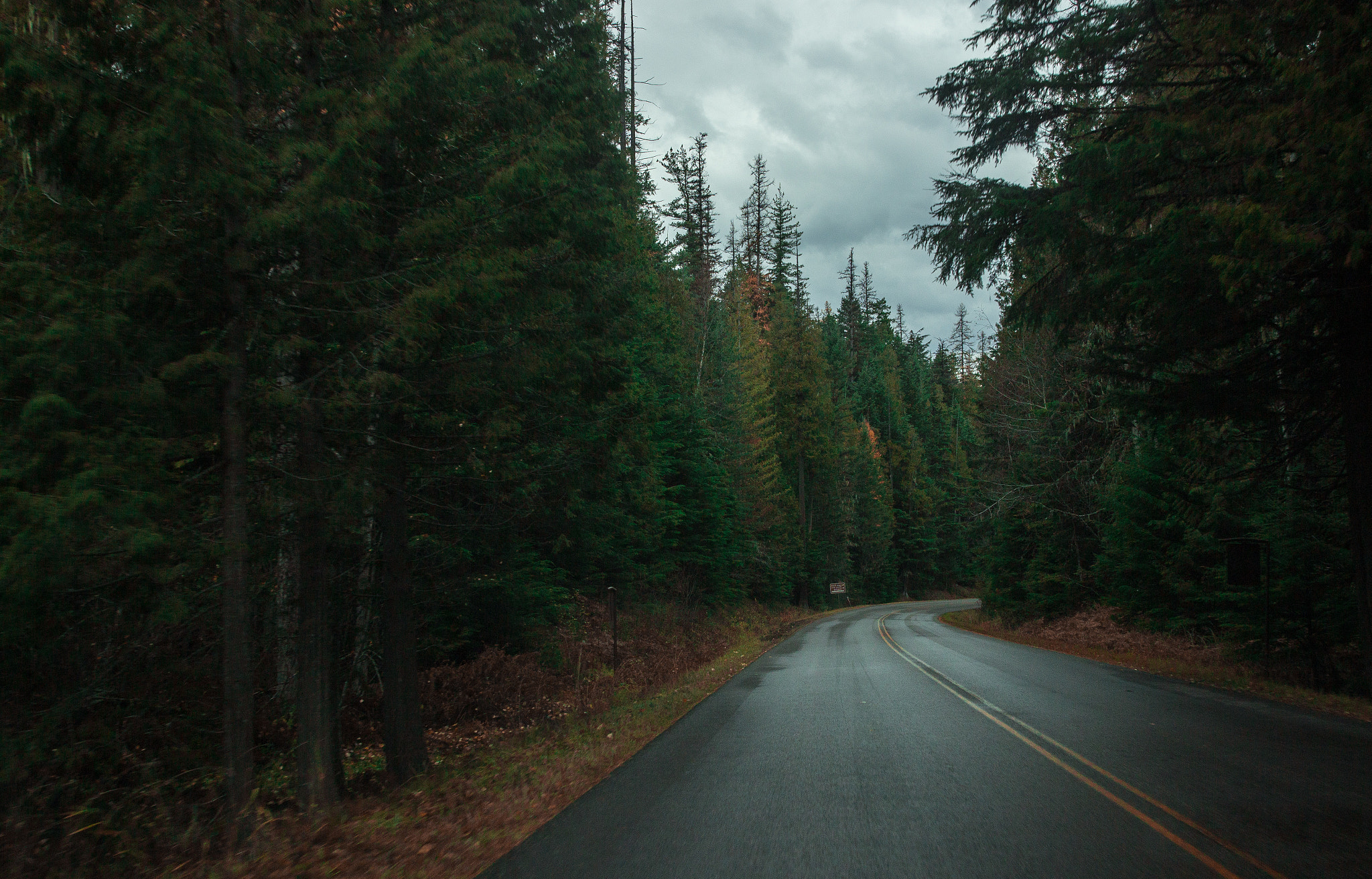Canon EF 24-70mm F2.8L II USM sample photo. Going-to-the-sun road photography