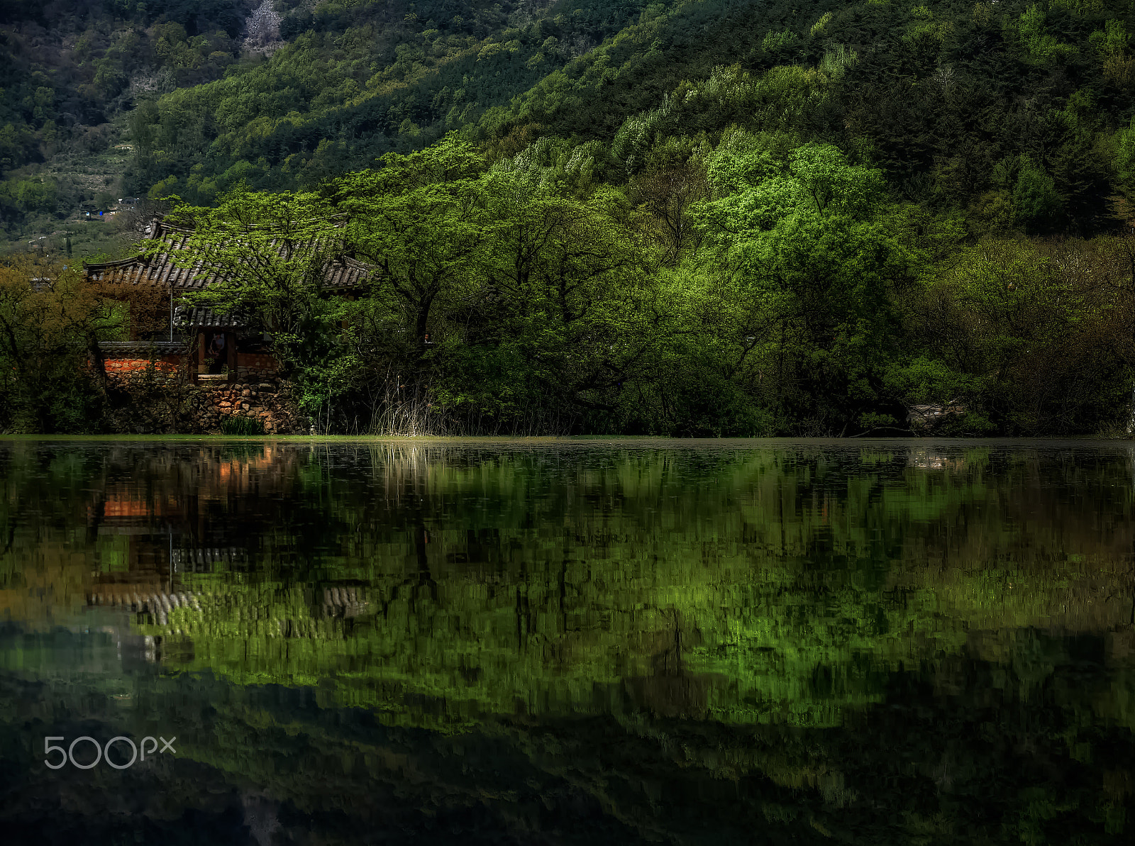 Panasonic Lumix G X Vario 35-100mm F2.8 OIS sample photo. Quiet reflection photography