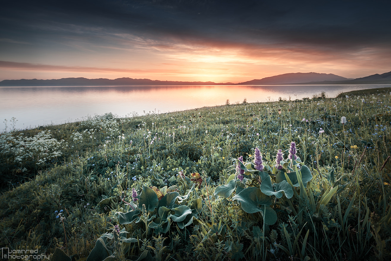 Canon TS-E 17mm F4L Tilt-Shift sample photo. The colour of sunrise photography