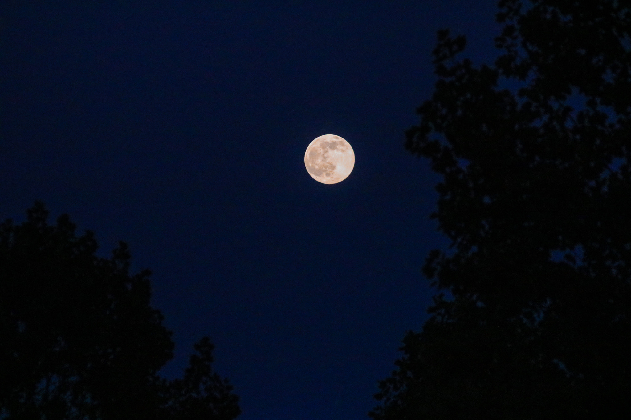 Canon EOS 760D (EOS Rebel T6s / EOS 8000D) + Canon 200-500mm sample photo. Full moon rising photography