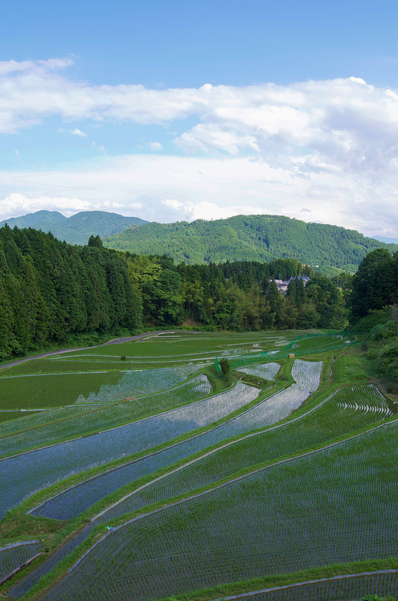 Pentax K-5 IIs sample photo