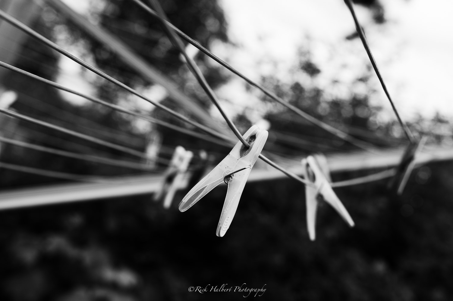 Nikon D3 + Nikon AF-S Nikkor 50mm F1.4G sample photo. Had you pegged photography