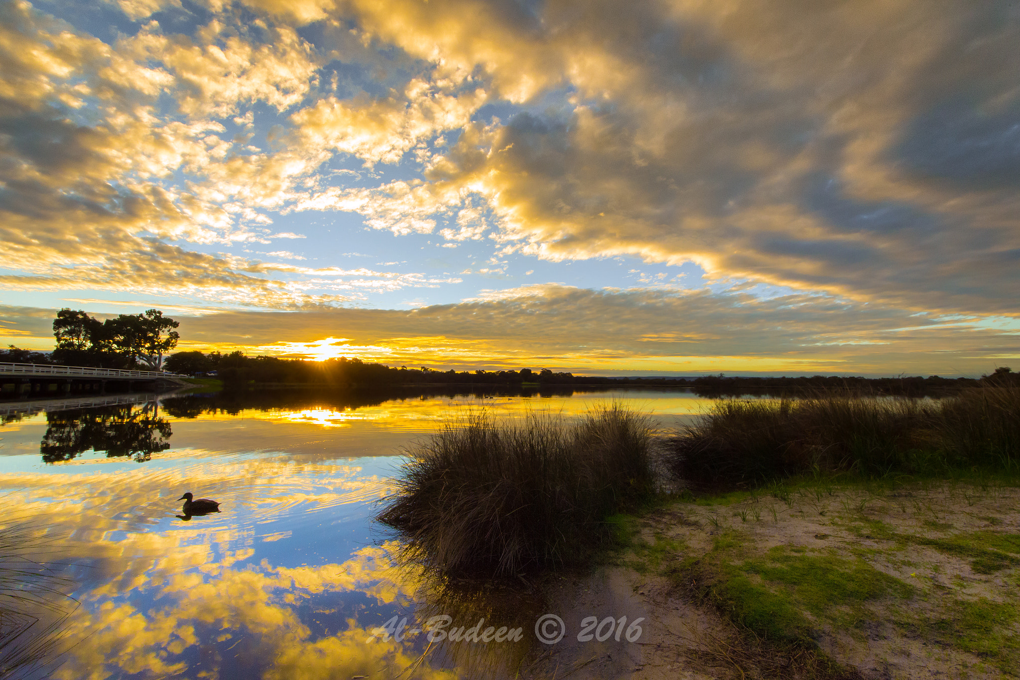 Sigma 8-16mm F4.5-5.6 DC HSM sample photo. Lonely photography