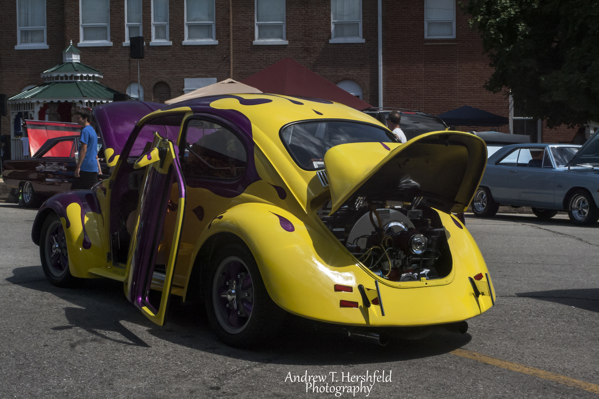 Canon EF 28-80mm f/3.5-5.6 sample photo. Crazy bug photography