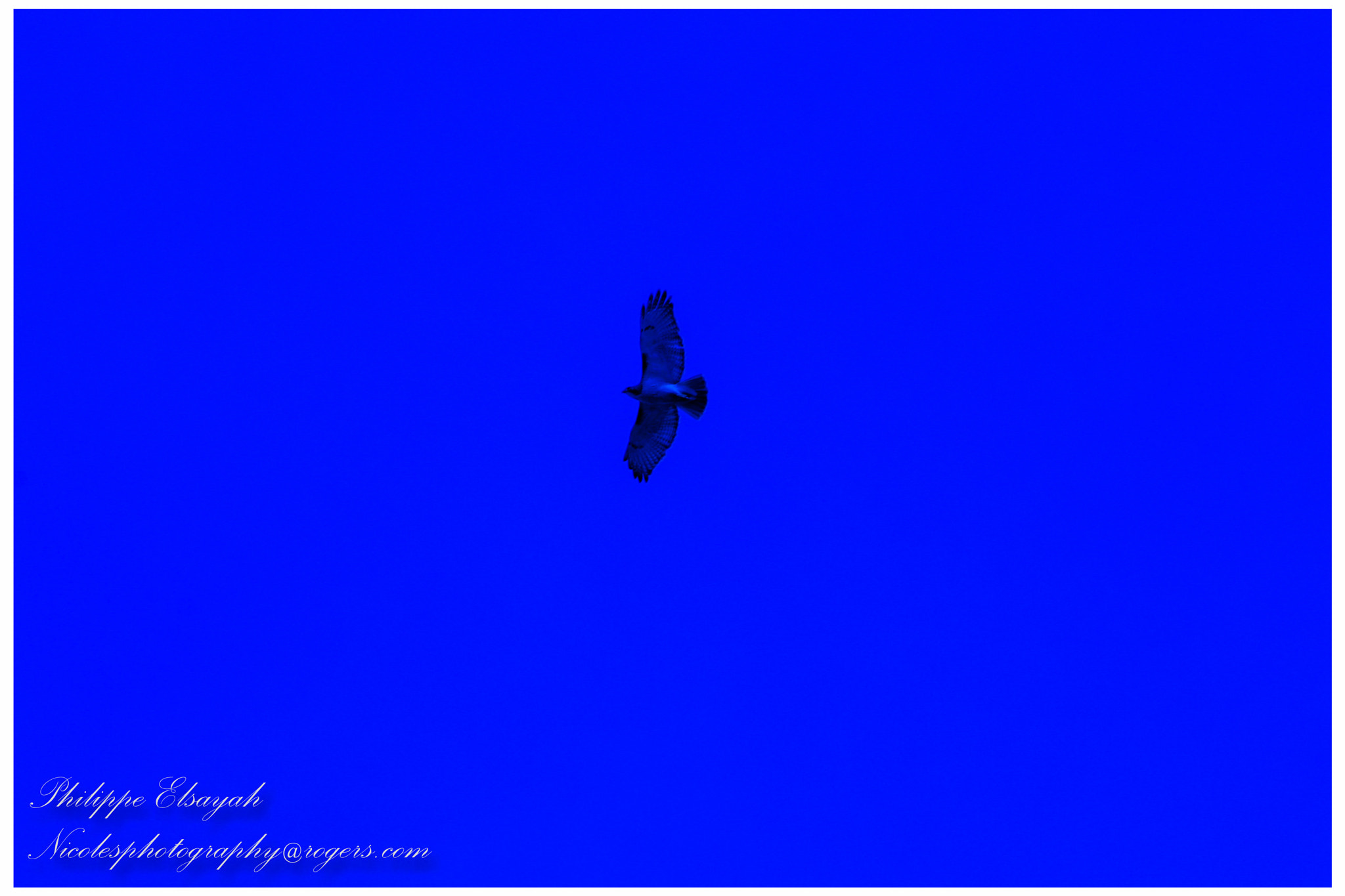 Canon EF 75-300mm f/4-5.6 USM sample photo. Summer jun 2016 photography