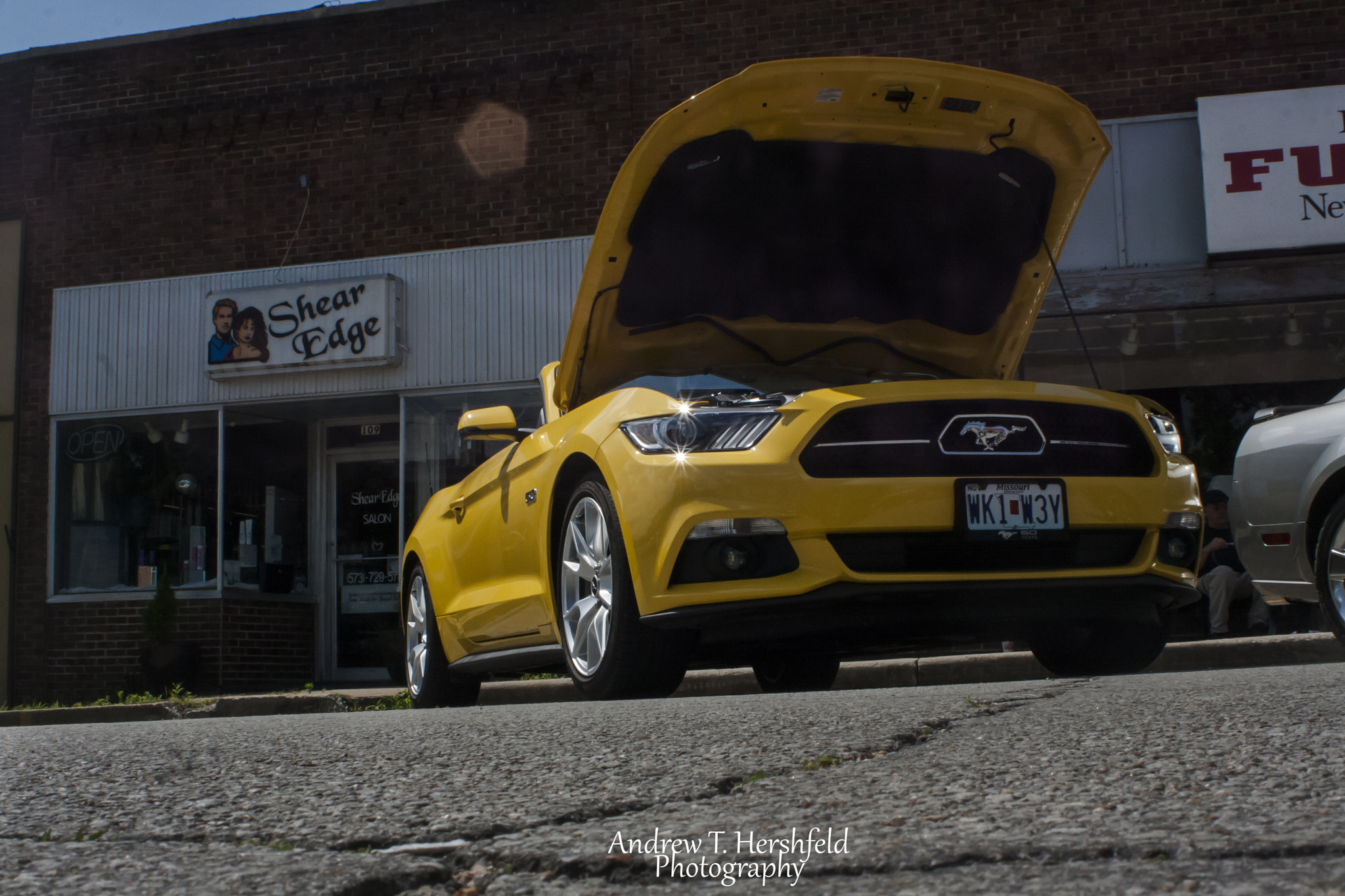 Canon EF 28-80mm f/3.5-5.6 sample photo. Yellow horse photography