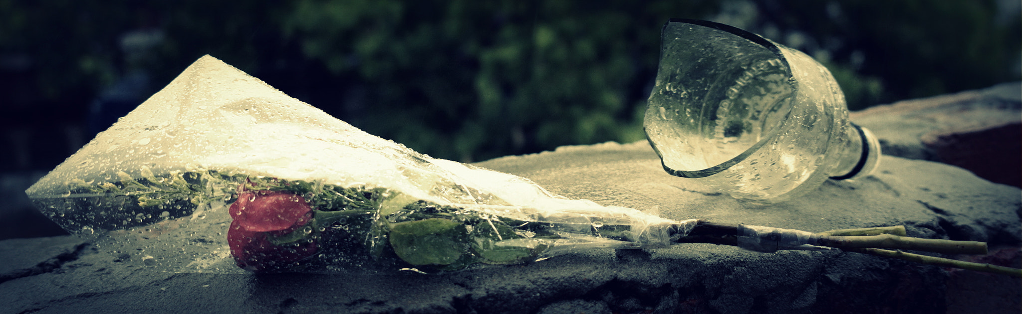 Sony E 18-50mm F4-5.6 sample photo. Drunk in love photography