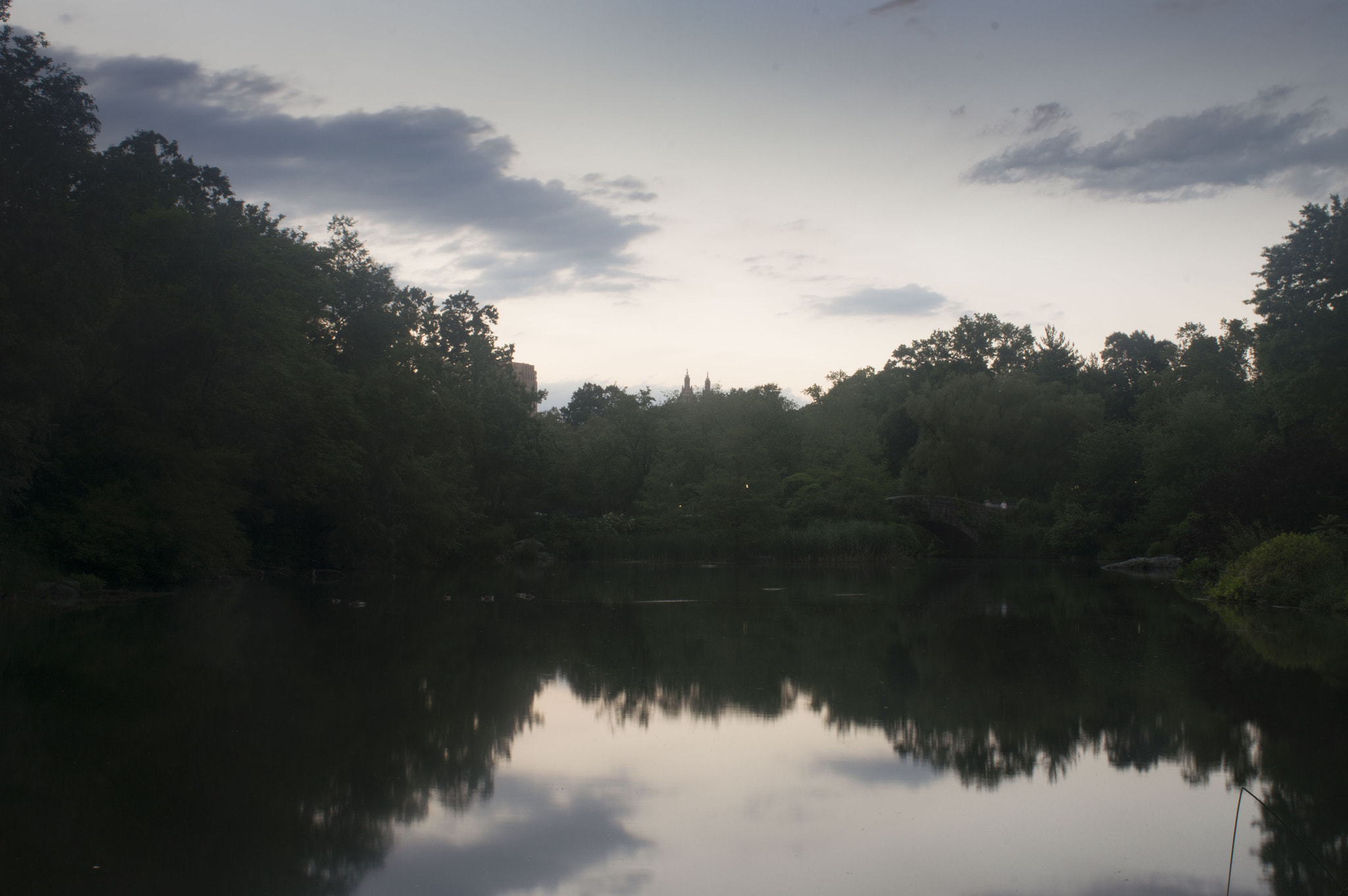 Nikon D3200 + Nikon AF Nikkor 28mm F2.8D sample photo. Photo was taken at central park, new york city, earlier this evening. photography