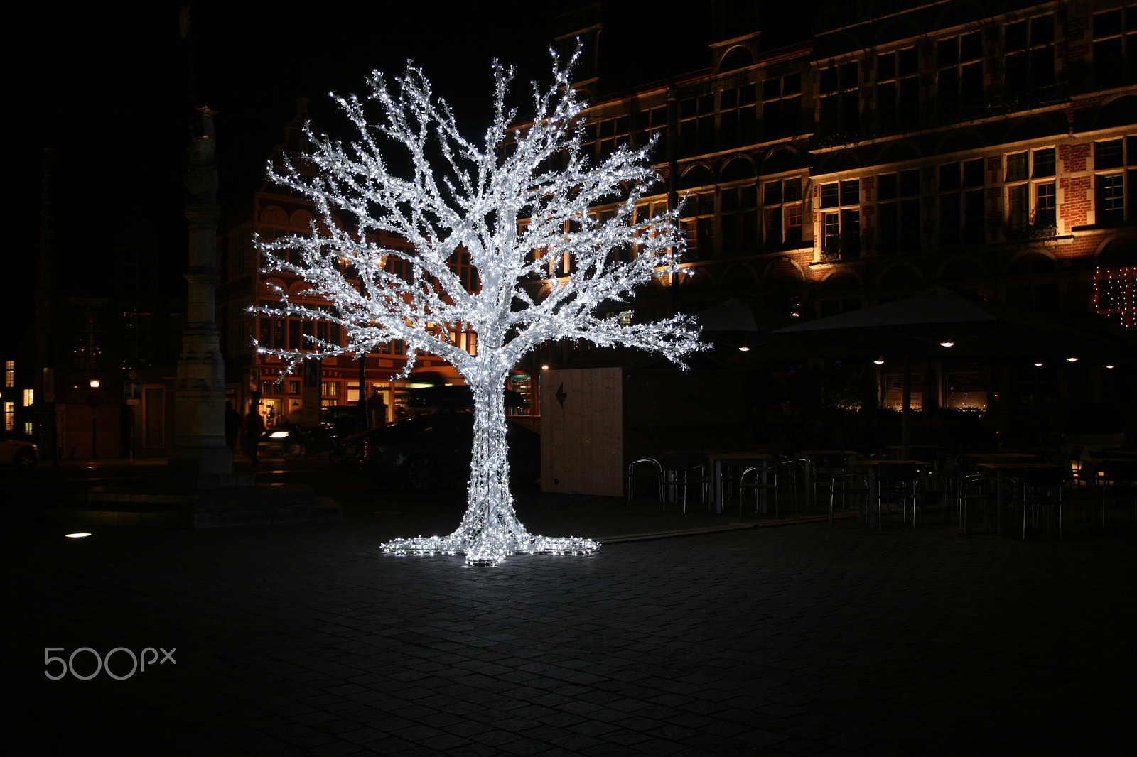 Canon EOS 400D (EOS Digital Rebel XTi / EOS Kiss Digital X) sample photo. The tree of light photography