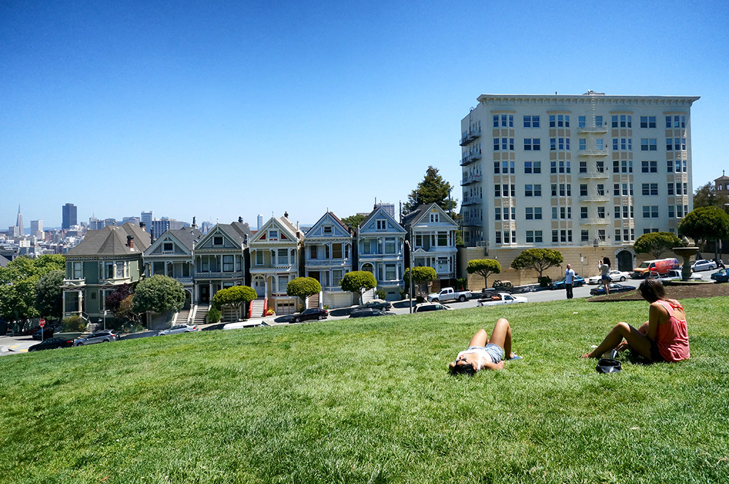 Sony Alpha NEX-5R + Sony E 16mm F2.8 sample photo. Painted ladies photography