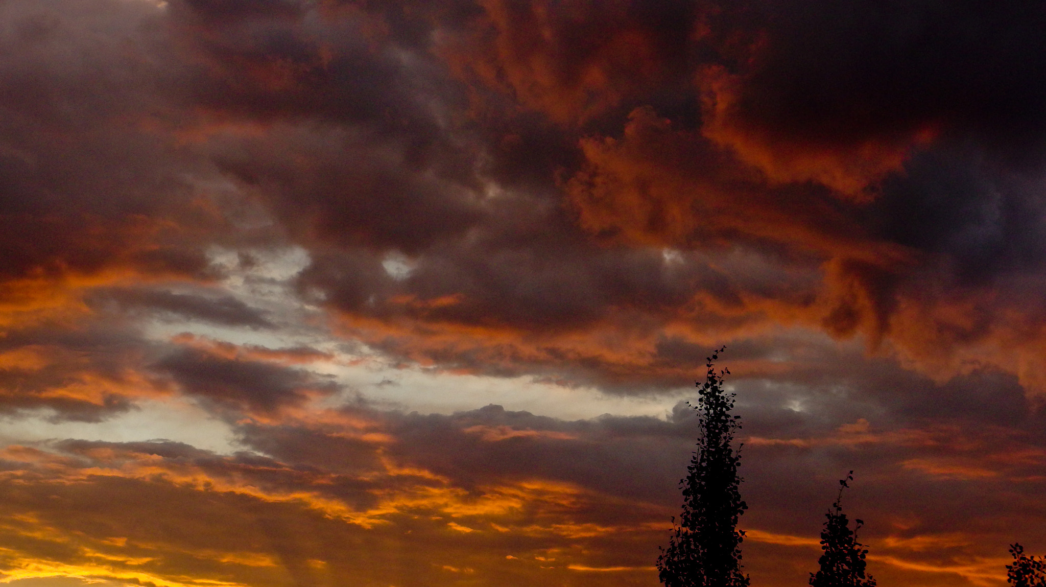 PENTAX RICOH IMAGING PENTAX MX-1 sample photo. Summer storm sunset photography
