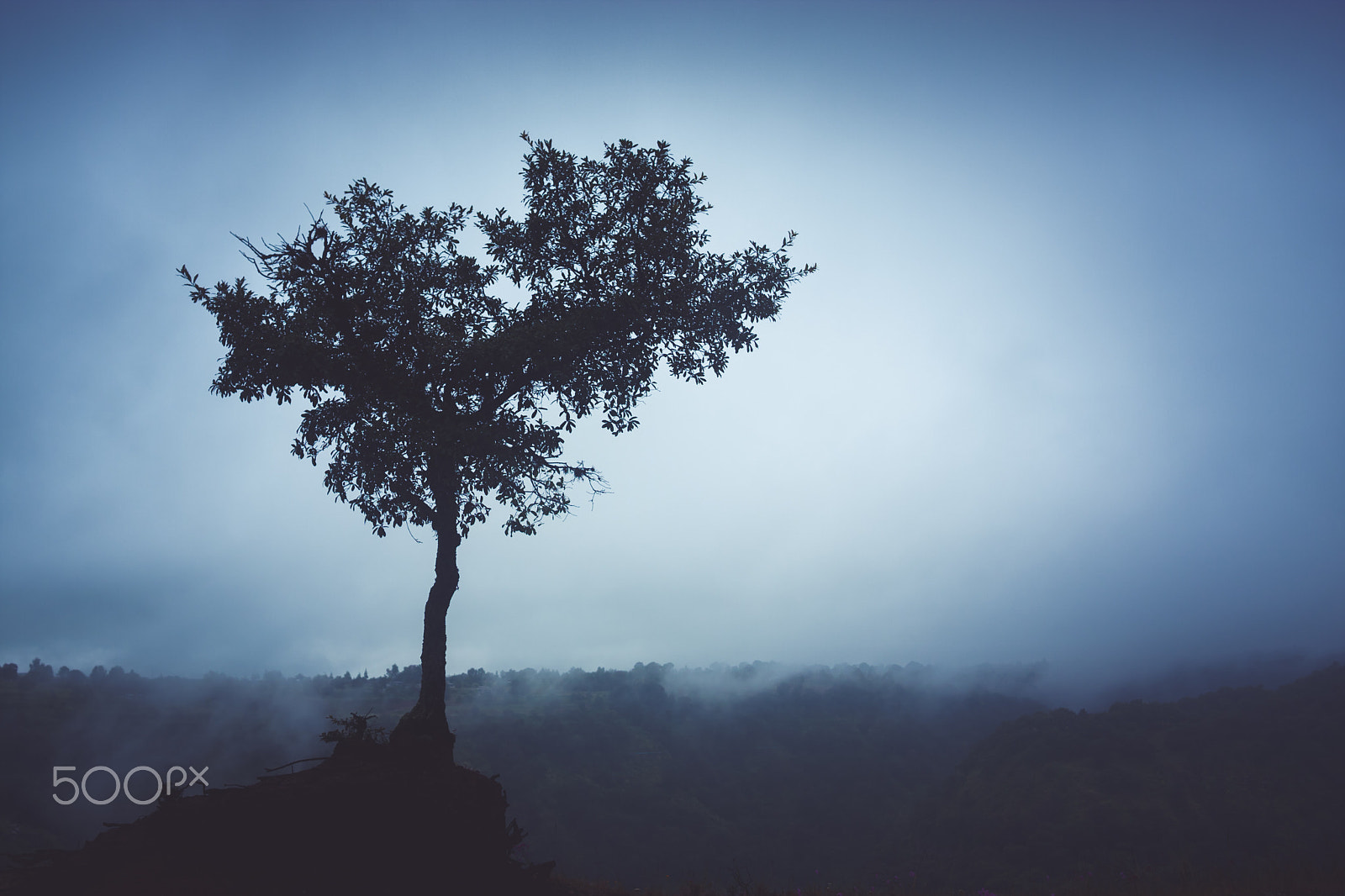 Sigma 17-35mm f/2.8-4 EX DG Aspherical HSM sample photo. Lonely tree photography