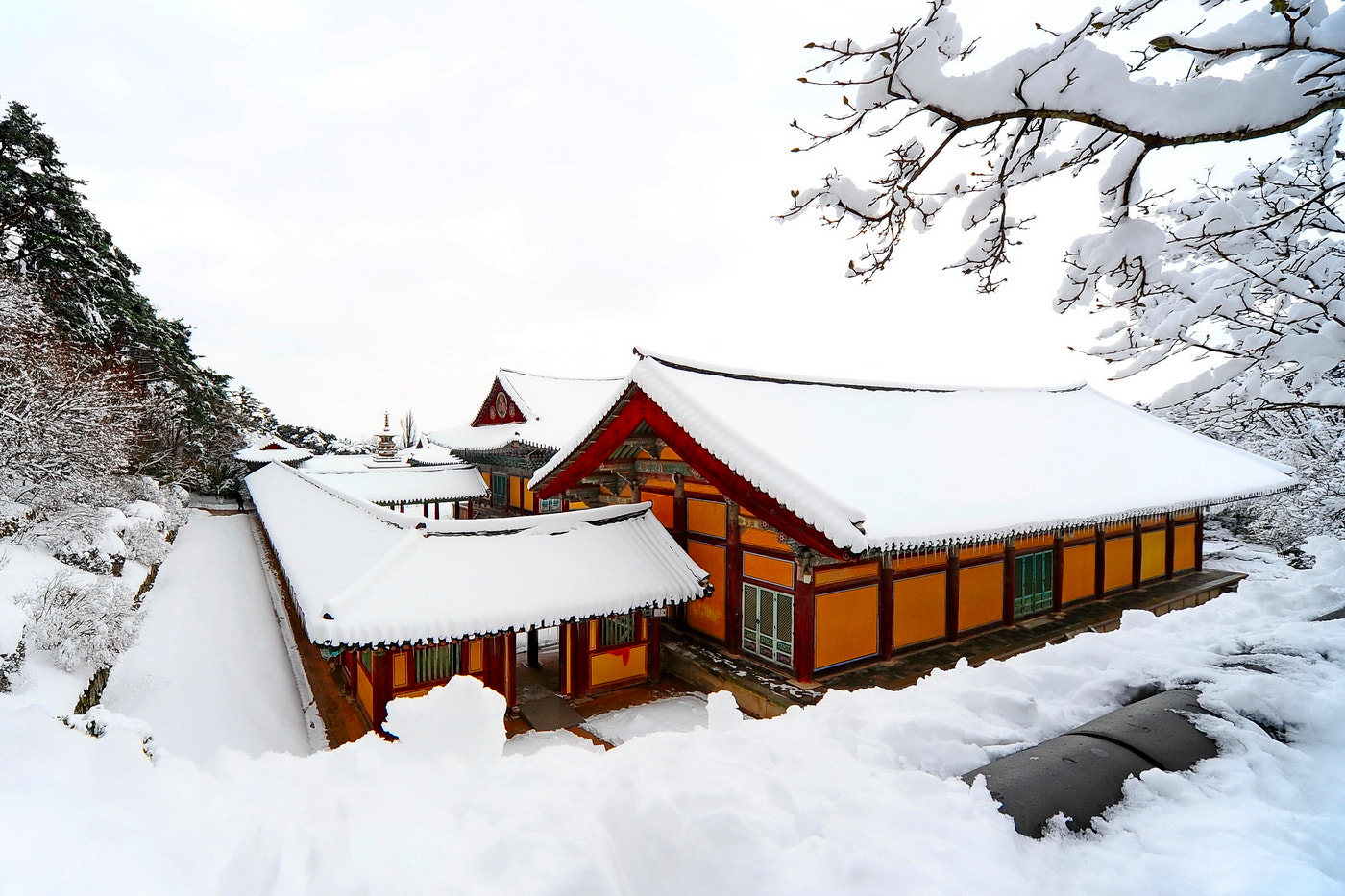 Nikon D700 + Sigma 12-24mm F4.5-5.6 EX DG Aspherical HSM sample photo. Bulguk temple photography