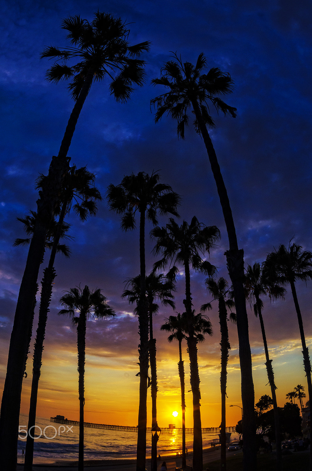 Tokina AT-X 10-17mm F3.5-4.5 DX Fisheye sample photo. Palm trees at sunset in oceanside - june 21, 2016 photography