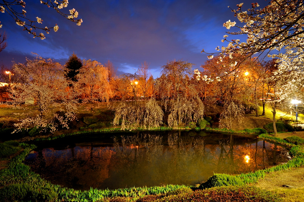 Nikon D700 + Sigma 12-24mm F4.5-5.6 EX DG Aspherical HSM sample photo. Lake bomoon photography