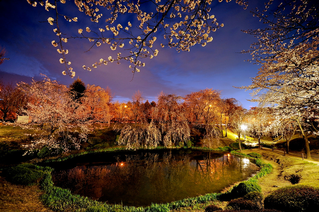 Sigma 12-24mm F4.5-5.6 EX DG Aspherical HSM sample photo. Lake bomoon photography