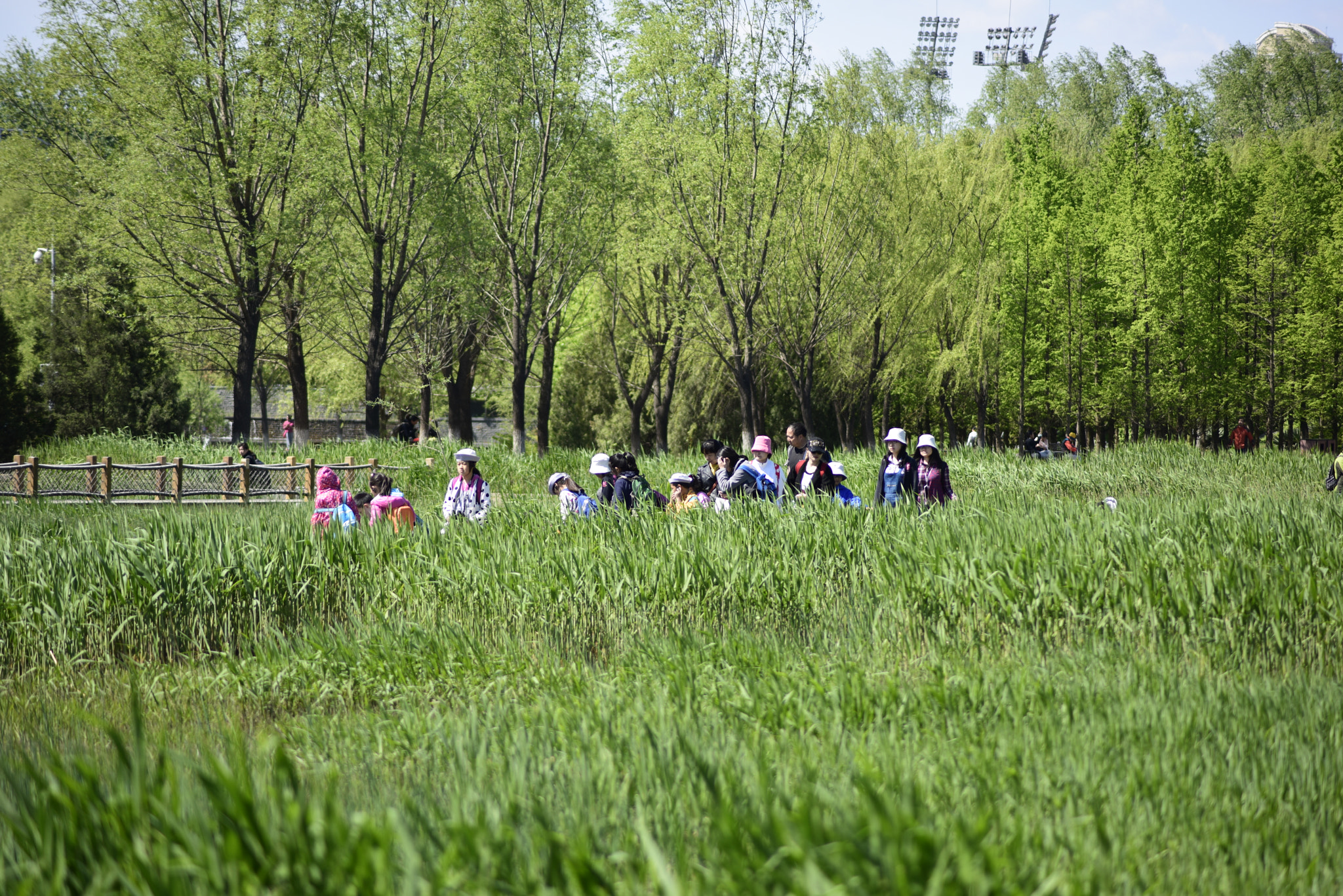 Nikon AF Nikkor 70-300mm F4-5.6G sample photo. 游人 photography
