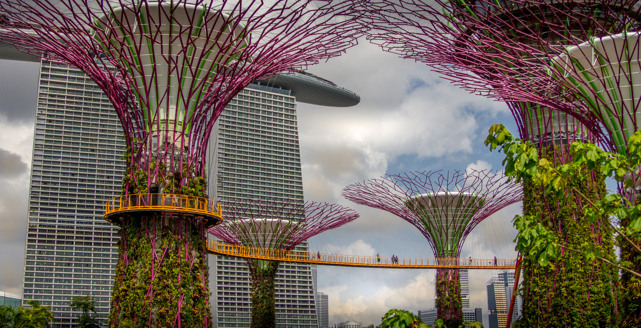 Canon EOS 600D (Rebel EOS T3i / EOS Kiss X5) sample photo. Sky tree in singapore photography