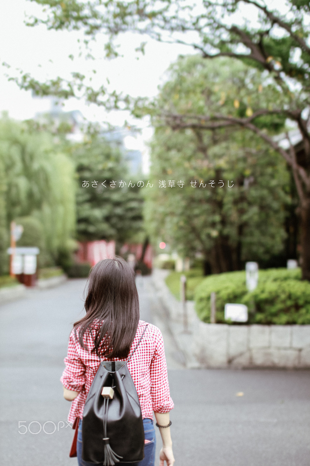 Sigma 50mm F1.4 EX DG HSM sample photo. Sensouji temple photography