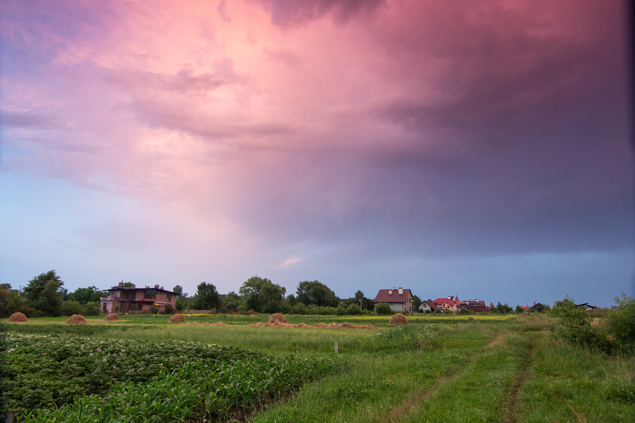 Tokina AT-X 12-28mm F4 Pro DX sample photo. Magnificent sunset in rural field photography