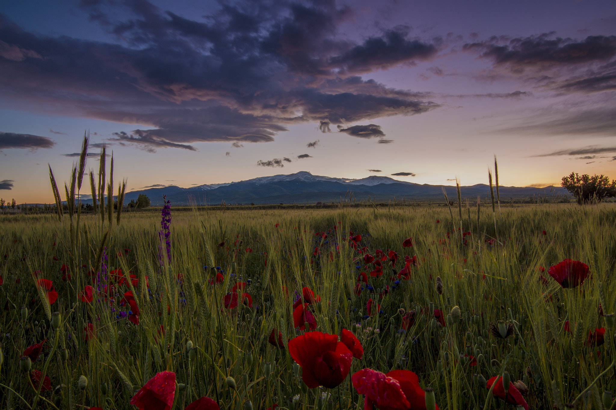Canon EF-S 17-85mm F4-5.6 IS USM sample photo. Sunset in countryside photography