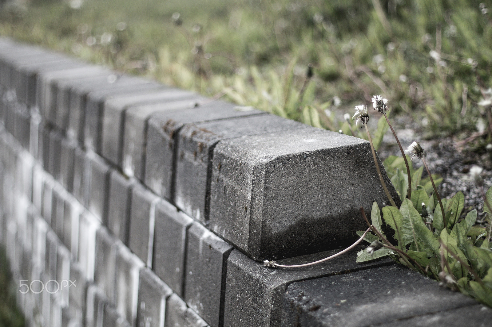 Canon EF 50mm F1.4 USM sample photo. Concrete jungle (1 of 3) photography