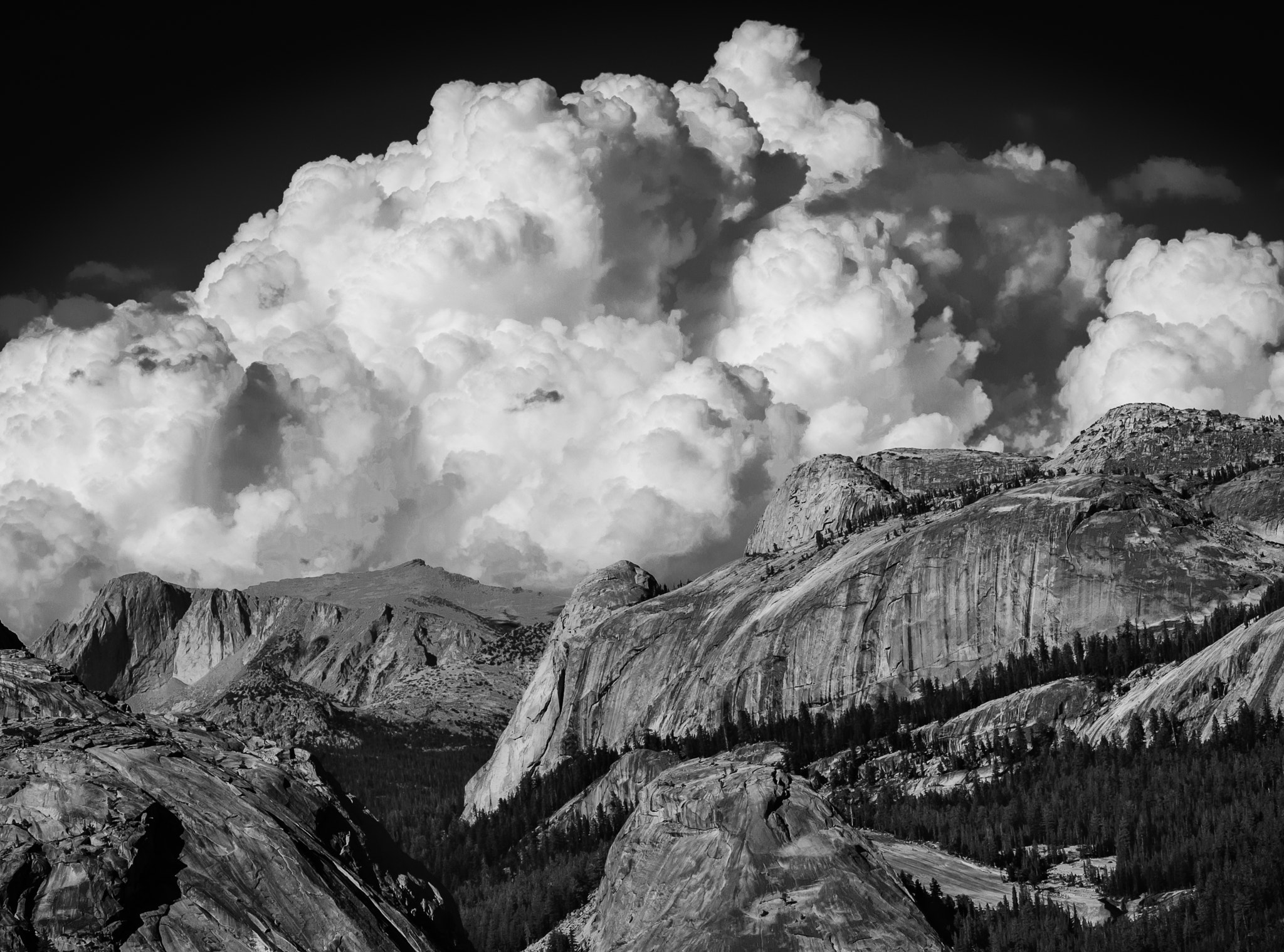 Olympus OM-D E-M5 II + Olympus M.Zuiko Digital ED 75mm F1.8 sample photo. High sierra summer afternoon clouds photography