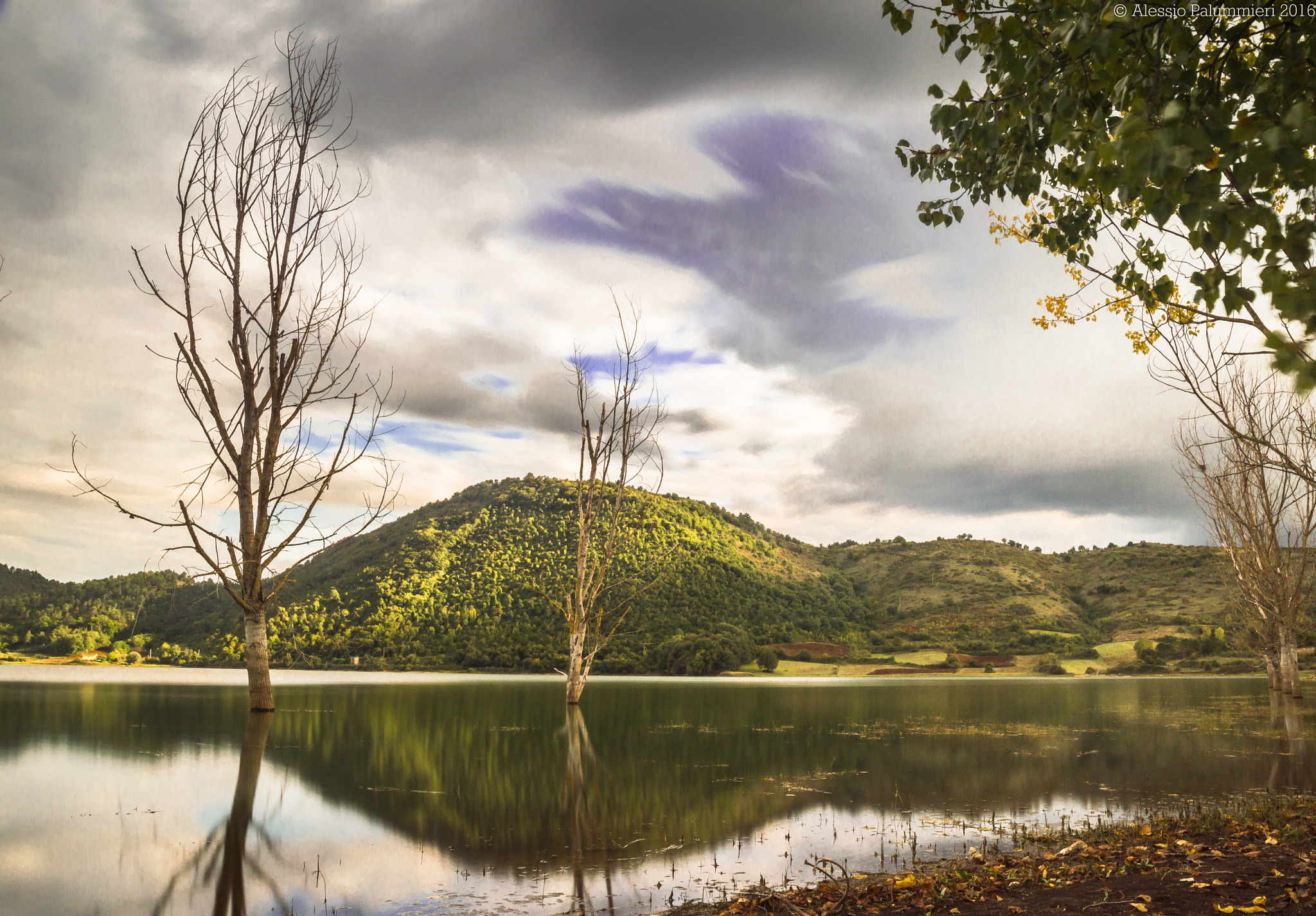 Nikon D3200 + Sigma 17-70mm F2.8-4.5 DC Macro Asp. IF sample photo. Autumn photography