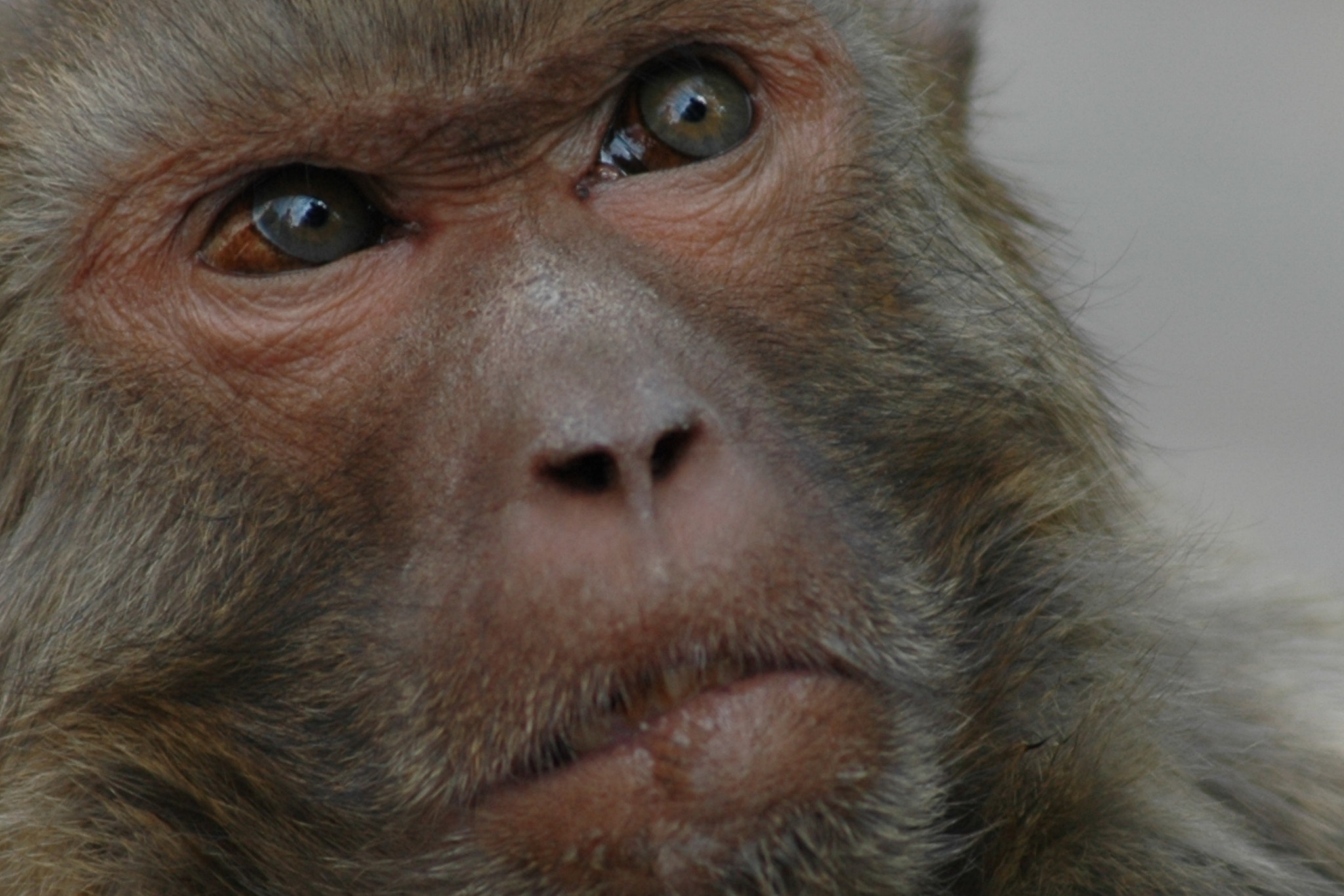 Nikon D70 sample photo. 小样 photography