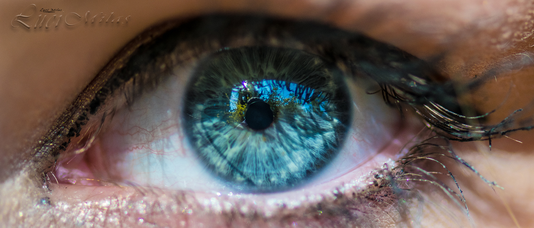 Nikon AF-S Micro-Nikkor 105mm F2.8G IF-ED VR sample photo. Macro vision photography